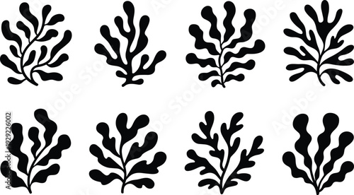 Seaweed silhouette collection, marine algae and coral reef plant shapes isolated on white background, underwater ocean vector illustration set