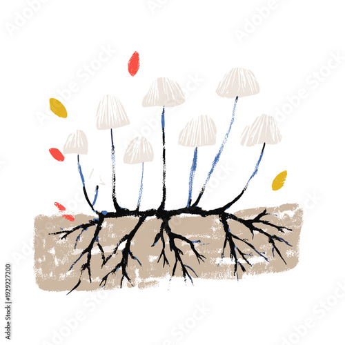 Minimal Mycelium Network Connecting Forest Mushrooms