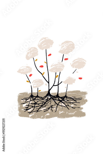 Minimal Mycelium Network Connecting Forest Mushrooms