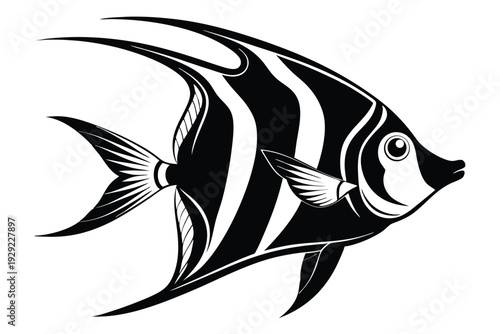 angelfish silhouette line art vector illustration