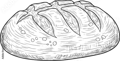 Detailed Hand Drawn of a Rustic Loaf of Bread with Scoring and Flour Dusting White Background