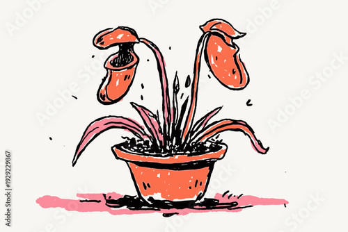 Minimalist Carnivorous Pitcher Plant Vector Illustration