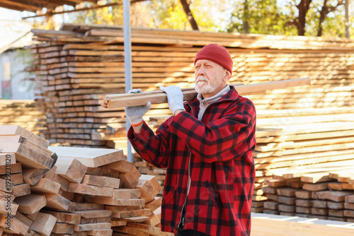 Mature male carpenter carry...