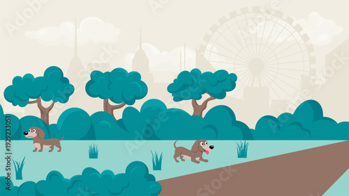urban park and dachshund dogs