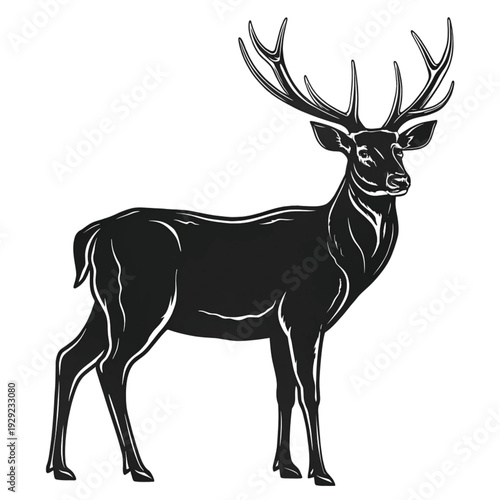Detailed black and white illustration of a majestic stag standing proudly