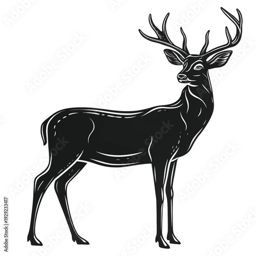 Detailed black and white illustration of a majestic stag standing proudly