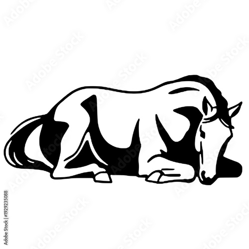 Silhouette of a horse