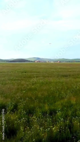 Vertical Wide Meadow Plain with Distant Hills and Sky
