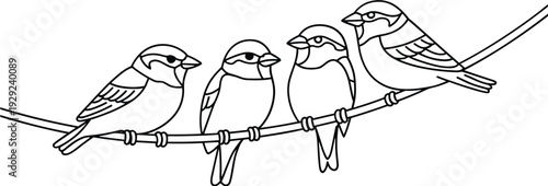 Four birds perched on a wire black and white line sitting