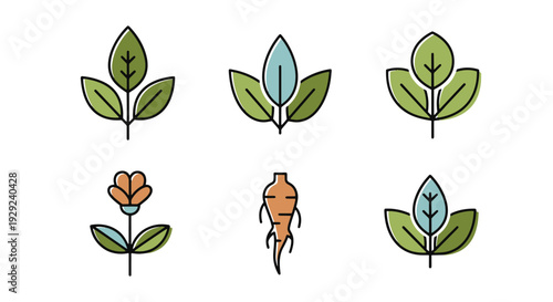 Nutrient Herb Line minimal contemporary color