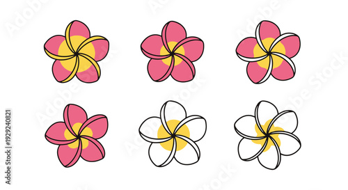 Plumeria Line art vector illustration