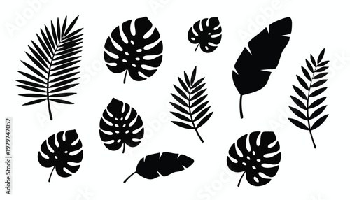 Set of 9 tropical leaf silhouettes vector