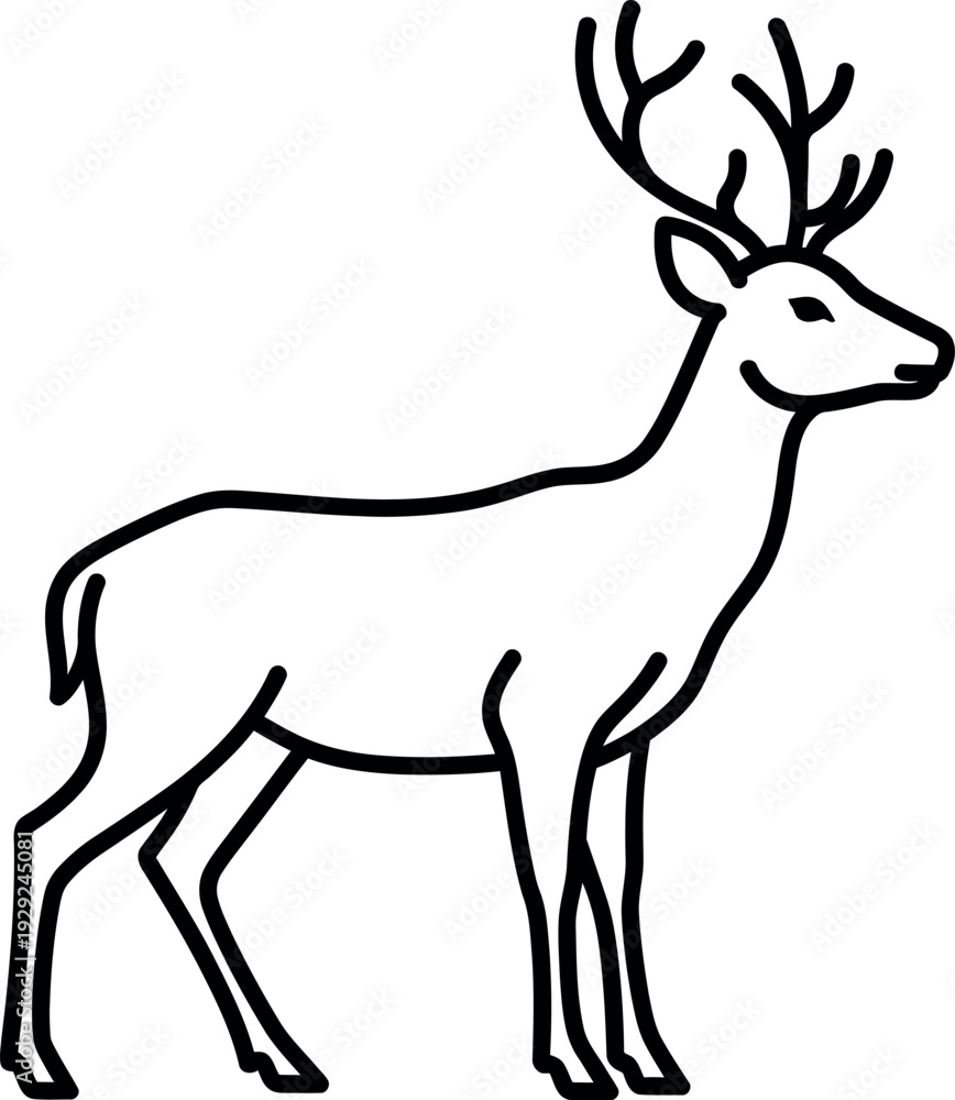 Obraz premium Elegant deer with antlers in profile, line art