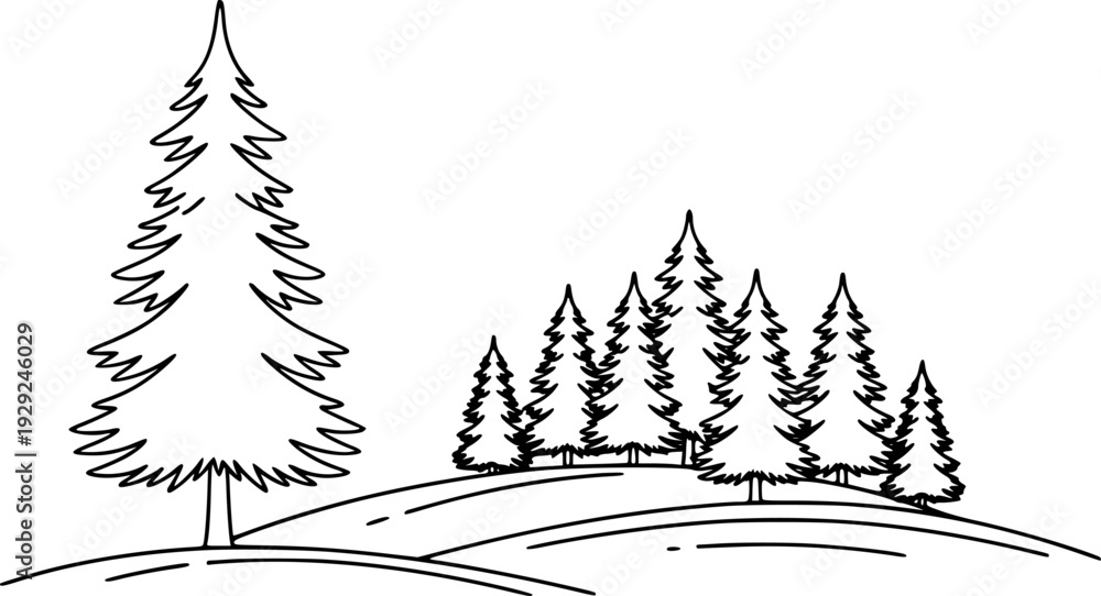 Obraz premium Simple Outline of a Pine Forest Rolling Hills with Transparent Background trees evergreen