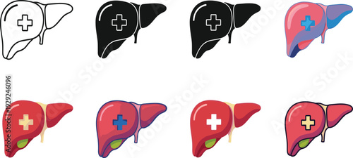 Human liver medical icon set with healthcare cross symbol for organ anatomy transplant treatment and hepatology related design.