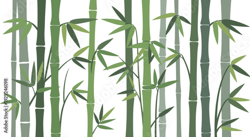 Bamboo forest background illustration, serene green bamboo grove, minimalist asian nature wallpaper, tranquil botanical landscape design