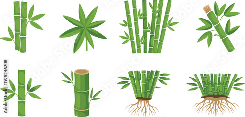 Green bamboo icon set, minimalist bamboo stems leaves and roots collection, flat botanical vector illustrations isolated on white
