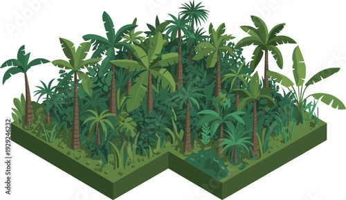 Isometric tropical rainforest island, dense jungle illustration, palm trees and lush greenery, exotic forest landscape, detailed nature vector