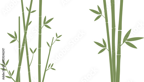 Minimalist bamboo forest illustration, green bamboo stems and leaves, simple botanical vector design isolated on white background