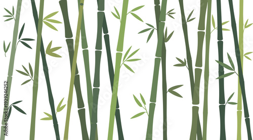 Minimalist bamboo forest vector illustration, green bamboo stems and leaves pattern, seamless nature background, modern botanical design artwork