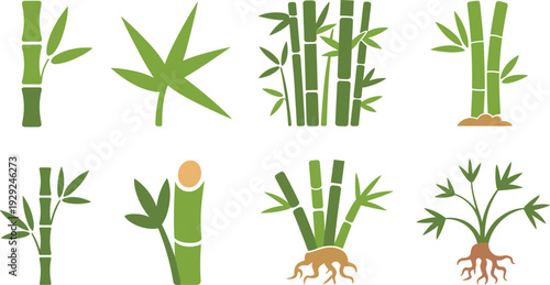 Minimalist bamboo icon set, green bamboo stems leaves and roots collection, flat botanical vector illustrations isolated on white