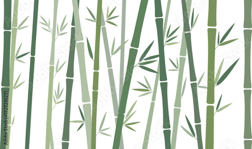 Minimalist bamboo seamless pattern, green bamboo stems and leaves vector background, modern botanical wallpaper, zen forest decorative design