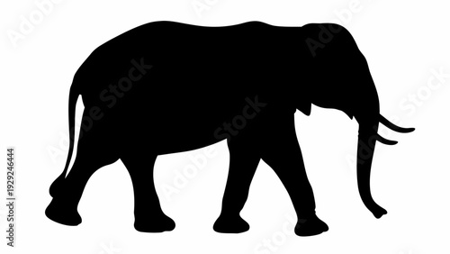 Majestic elephant walking in profile view