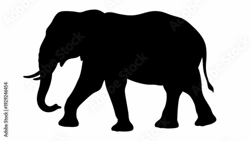 Majestic elephant walking in profile view