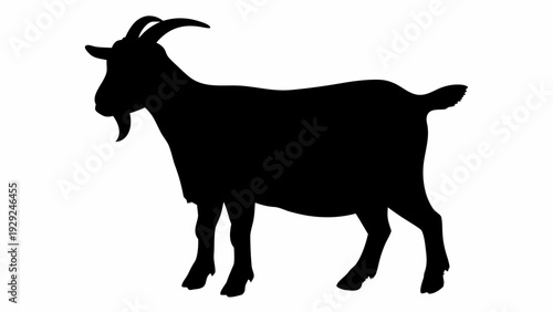 Majestic goat standing in profile with curved horns