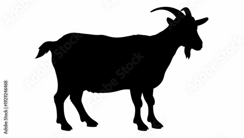 Majestic goat standing in profile with curved horns