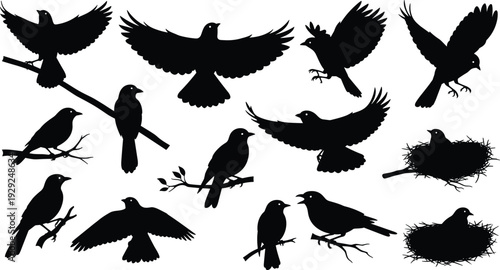 Black bird silhouette collection featuring flying avian species perching on branches and nesting in straw nests isolated on a white background vector illustration
