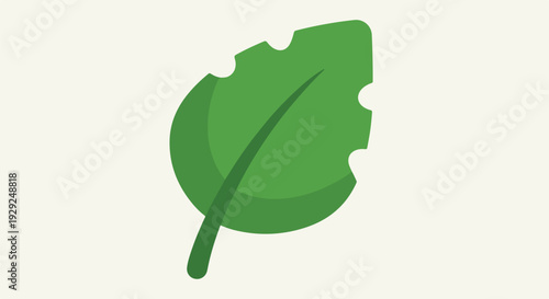 A simple illustration of a green, slightly damaged, single leaf
