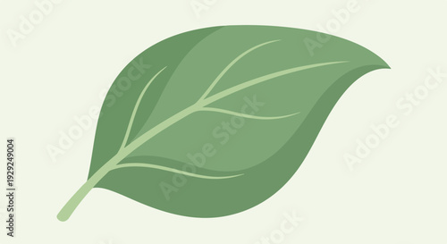 A single green leaf, stylized, with veins, on a soft off-white background