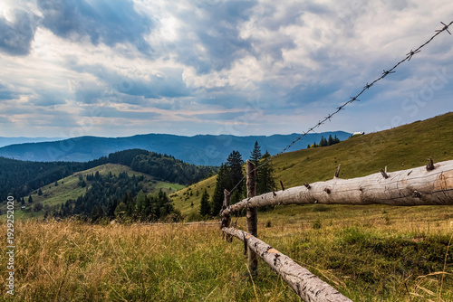 Landscapes, Forest, Carpathians, Photos of nature - Europe, Eastern Europe