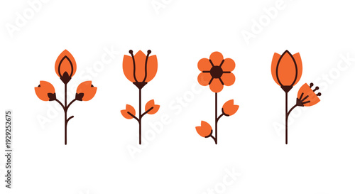 Orange Flower Line abstract creative tone vector