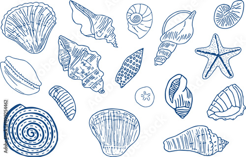  Hand drawn seashells drawing ink set. Minimalist line art, naive marine sketch. Summer vacation design elements for poster, menu, banners, invitation. Tropical beach shells. Vector illustration.