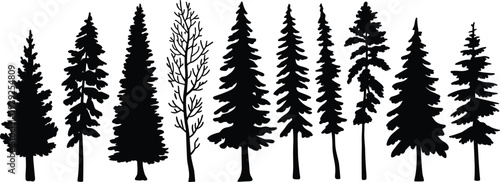 Pine and fir tree silhouettes collection, forest conifer trees set, black nature vector illustration isolated on white