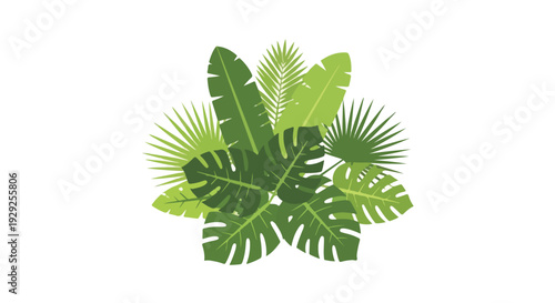 A stylized illustration of tropical leaves on a white background