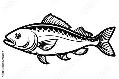 halibut silhouette line art vector illustration