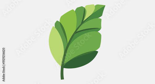 A stylized leaf with multiple shades of green on a white background