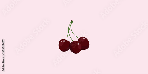Sweet burgundy cherries on light pink background. Horizontal vector banner with copy space for luxury cosmetic, berry dessert, or summer party invitation