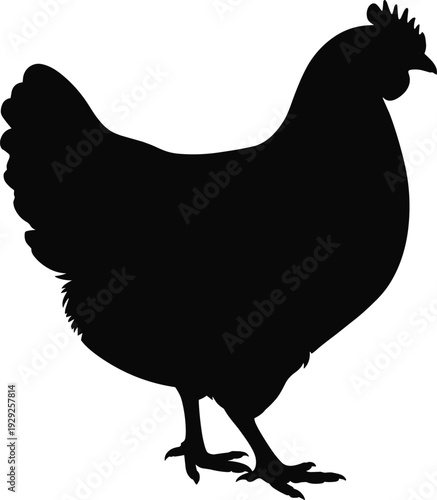 Chicken silhouette profile farm animal design, poultry illustration, agricultural concept, rural lifestyle, food industry symbol, nature outline, domestic bird art