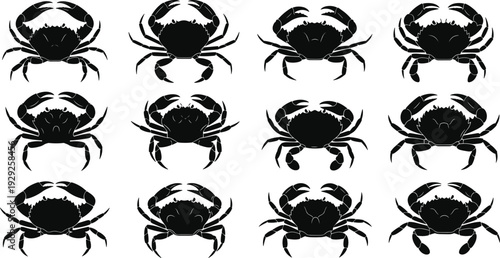 Collection of black crab silhouettes, sea creature icons, marine animal symbols, ocean shellfish vector set, isolated crustacean seafood graphic elements.