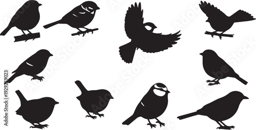 Set of 10 Black Bird Silhouettes Vector isolated PNG with Transparent Background