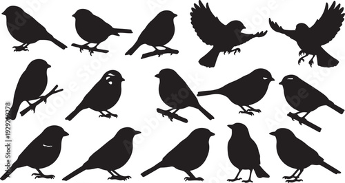 Set of 15 Black Bird Silhouettes Vector isolated PNG with Transparent Background