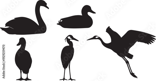 Set of 5 black waterfowl bird silhouettes vector isolated PNG with Transparent Background