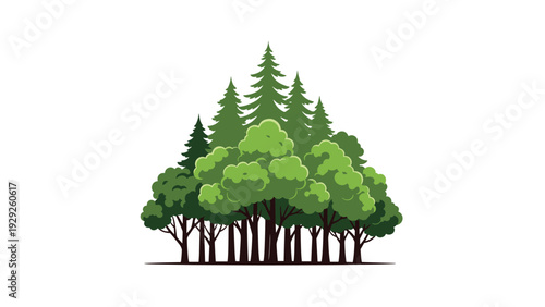 cluster of green leafy and pine trees hand drawn forest nature illustration