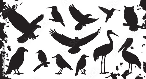 Set of 11 Black Bird Silhouettes Vector isolated PNG with Transparent Background