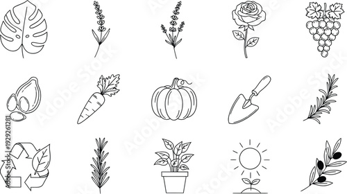 Set of 15 Outline Nature and Gardening Icons Vector