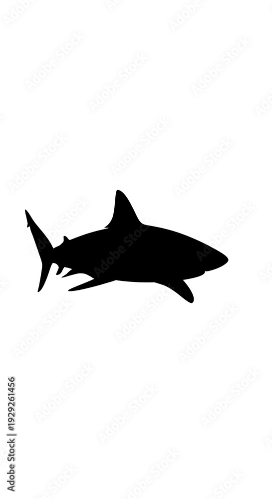 Fototapeta premium Black silhouette of a shark swimming.